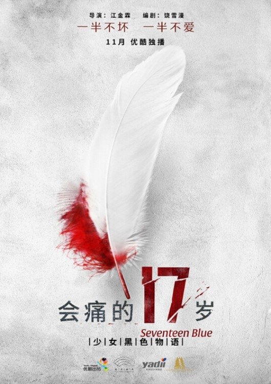Poster de 会痛的17岁