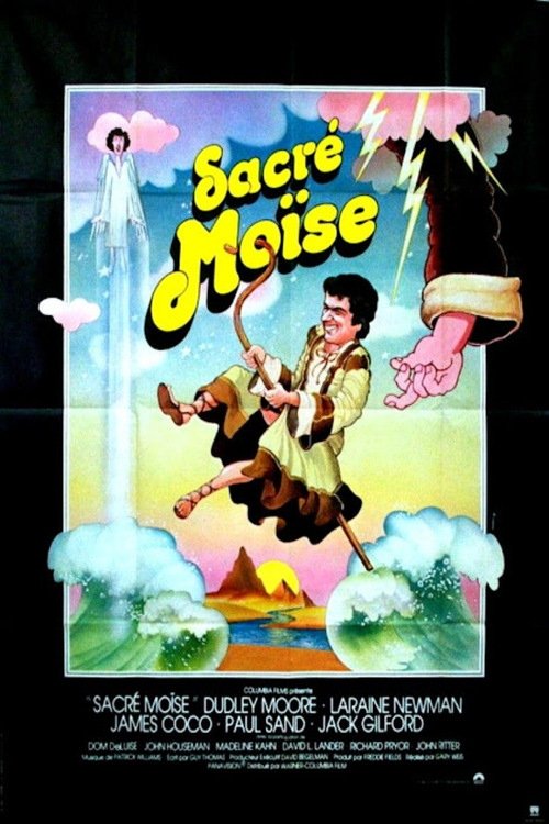 Affiche du film Wholly Moses
