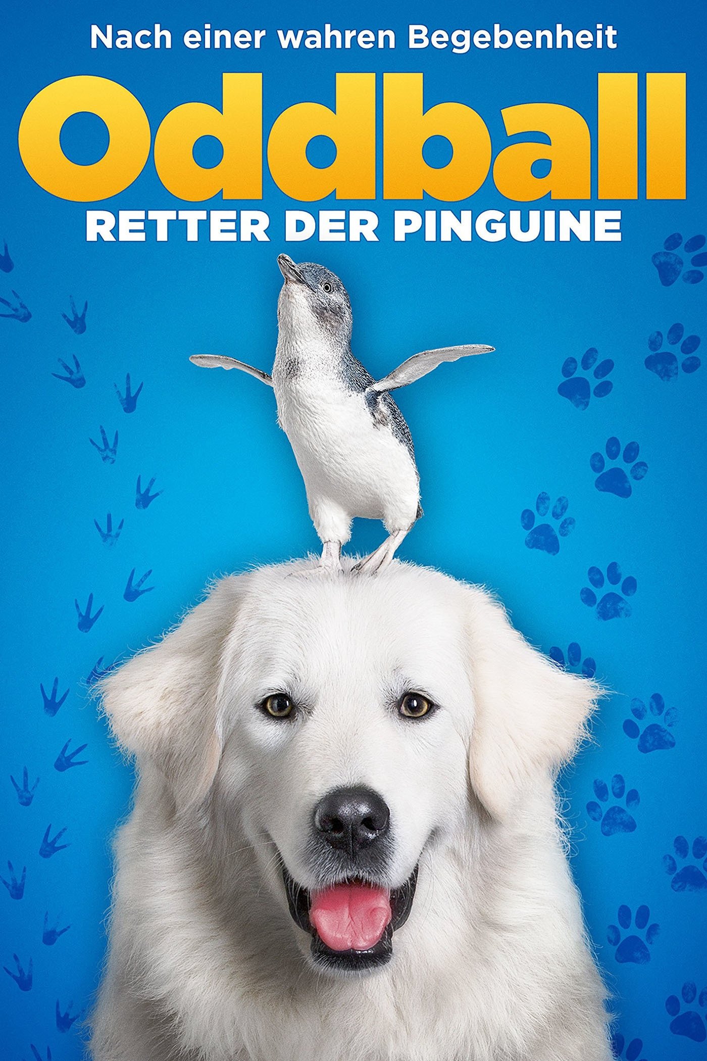 Poster de Oddball e os Pinguins