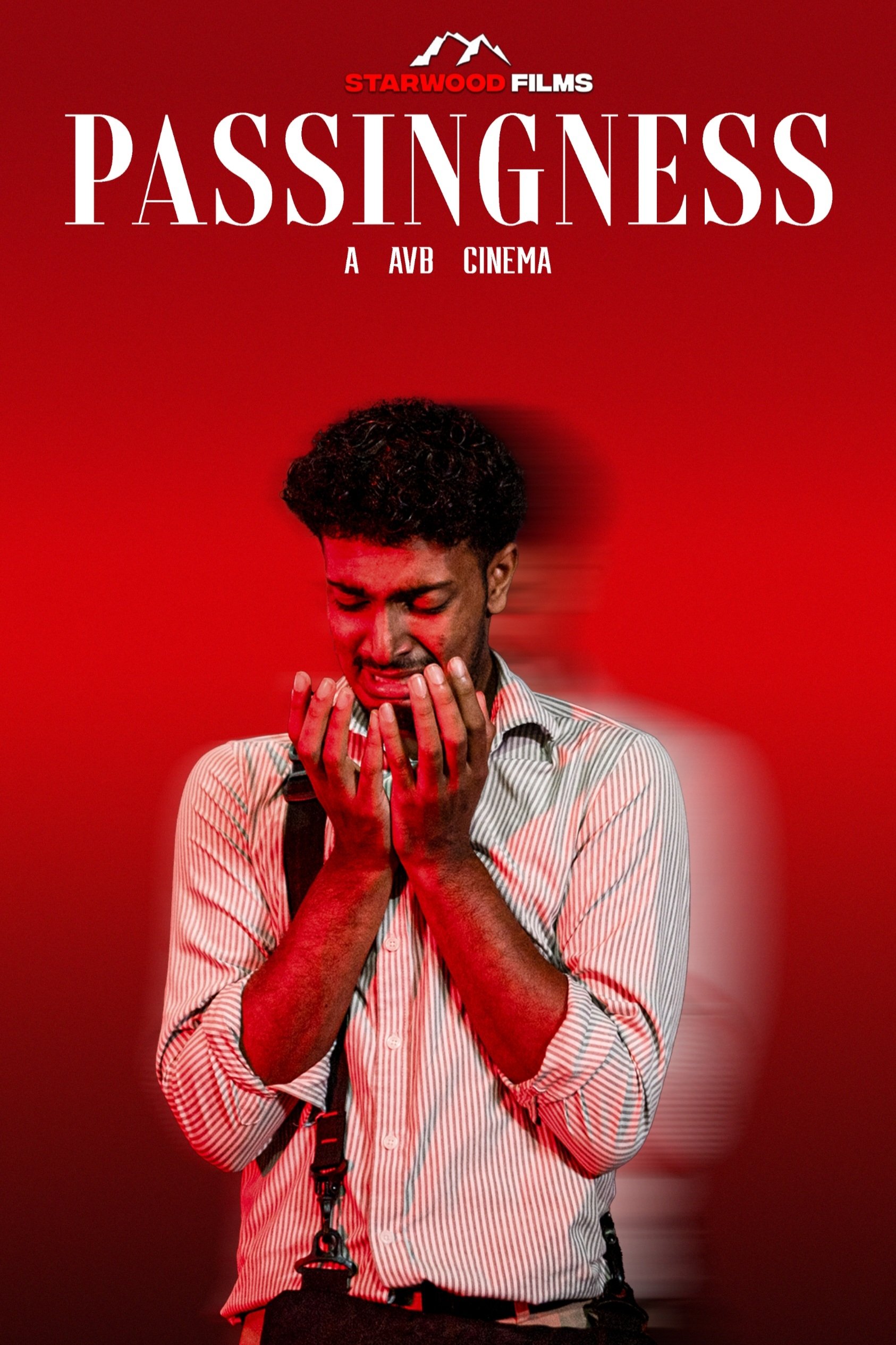 Poster de Passingness