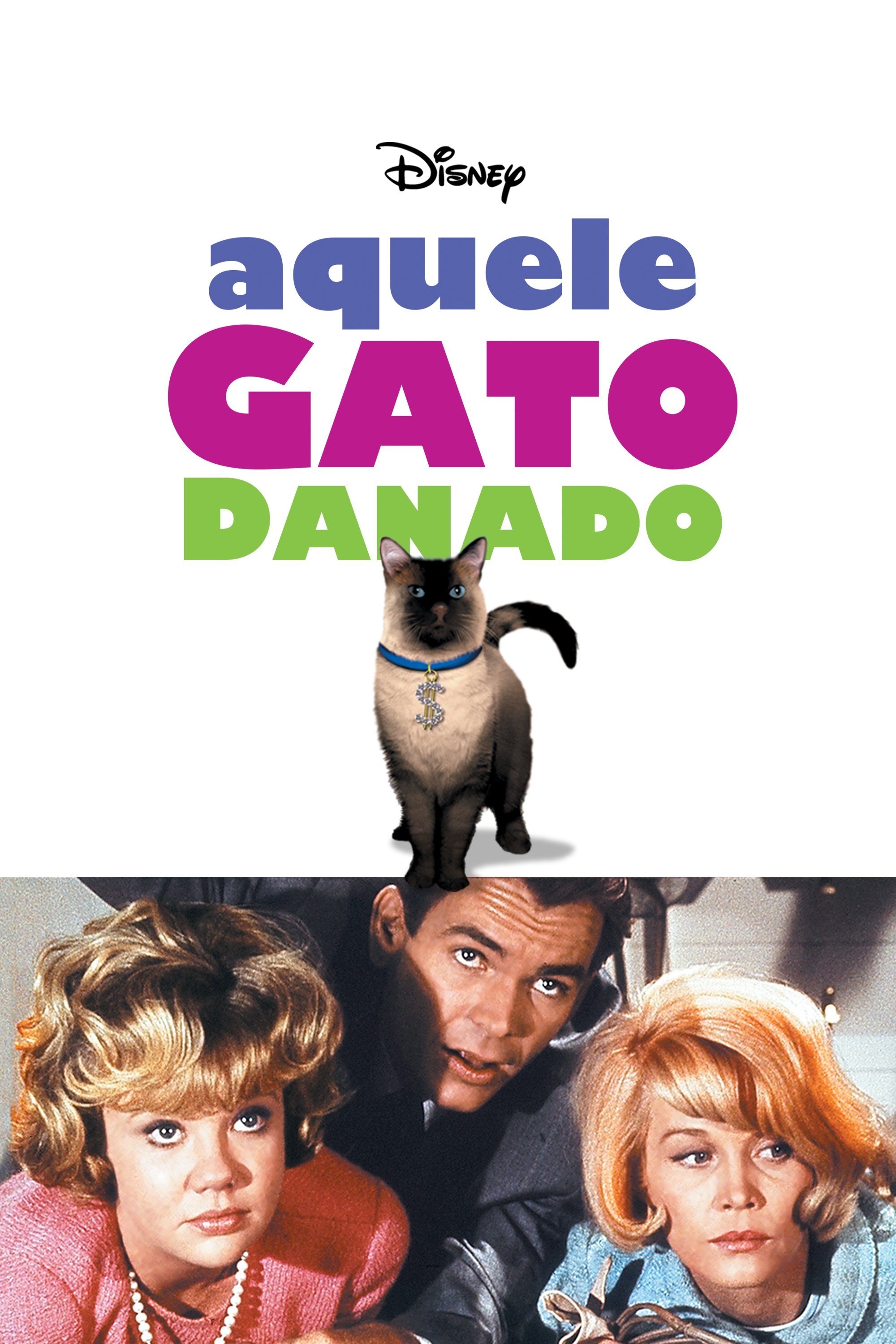 Poster de Aquele Gato Danado