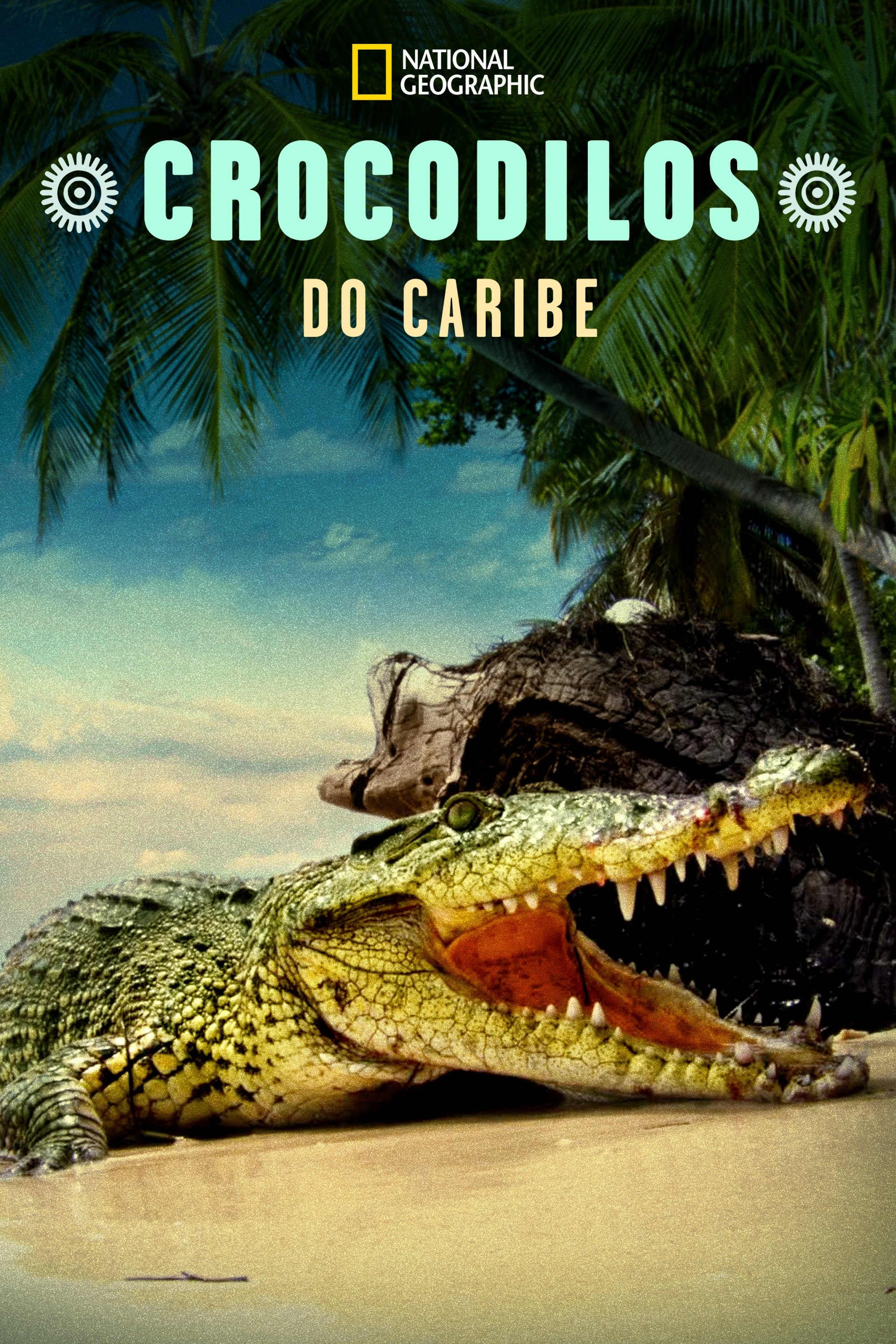 Poster de Crocodilos do Caribe