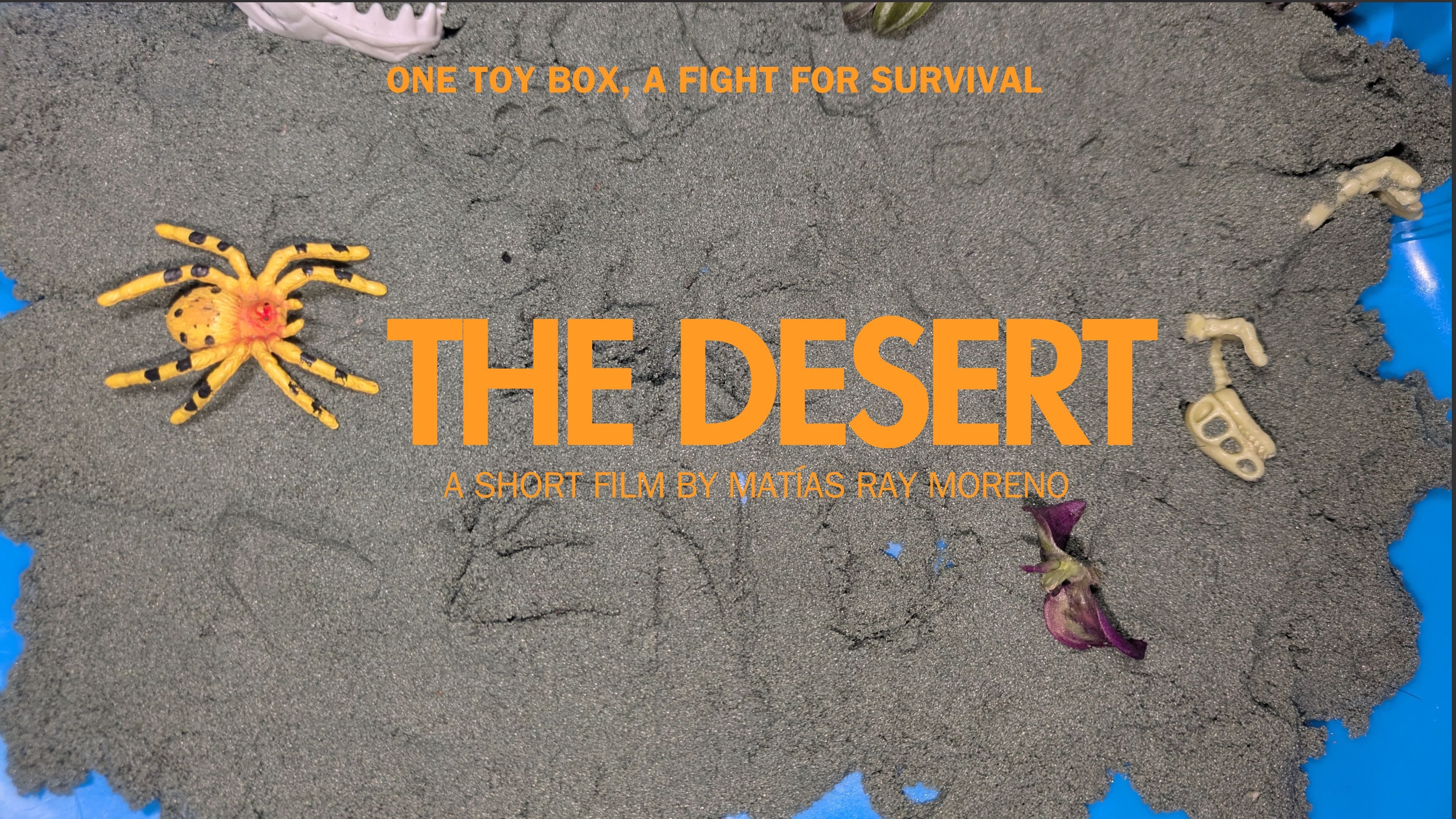 The Desert