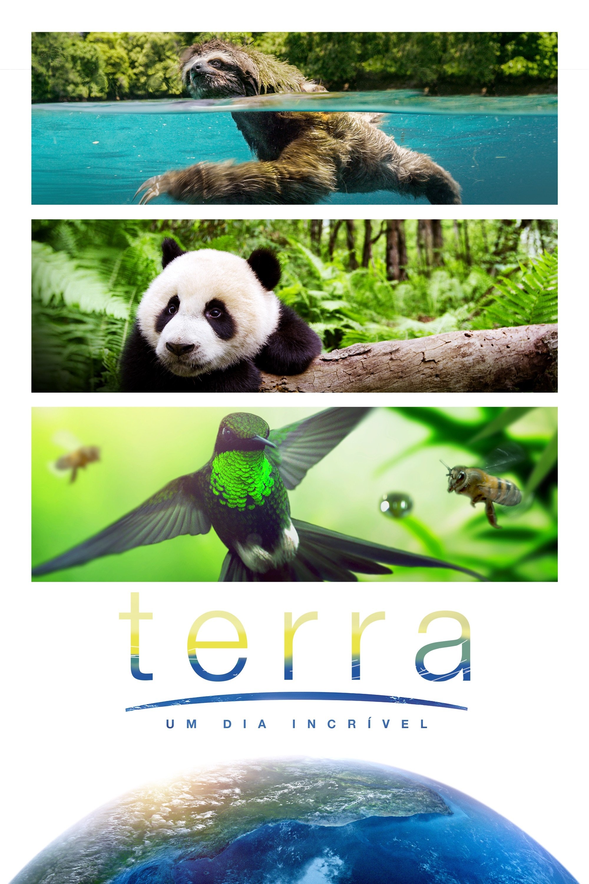 Poster de Terra: Um Dia Incrível