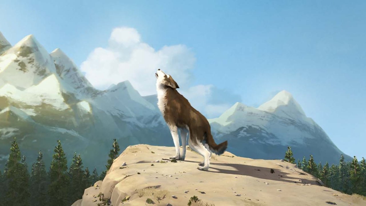 Backdrop image