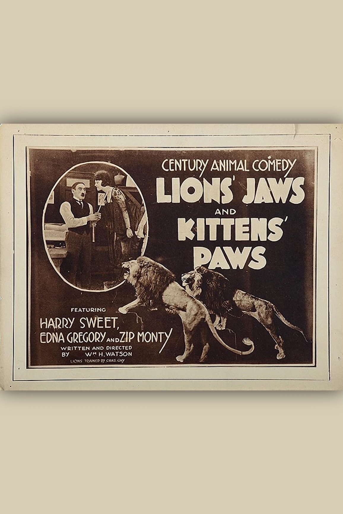 Poster de Lion's Jaws and Kitten's Paws