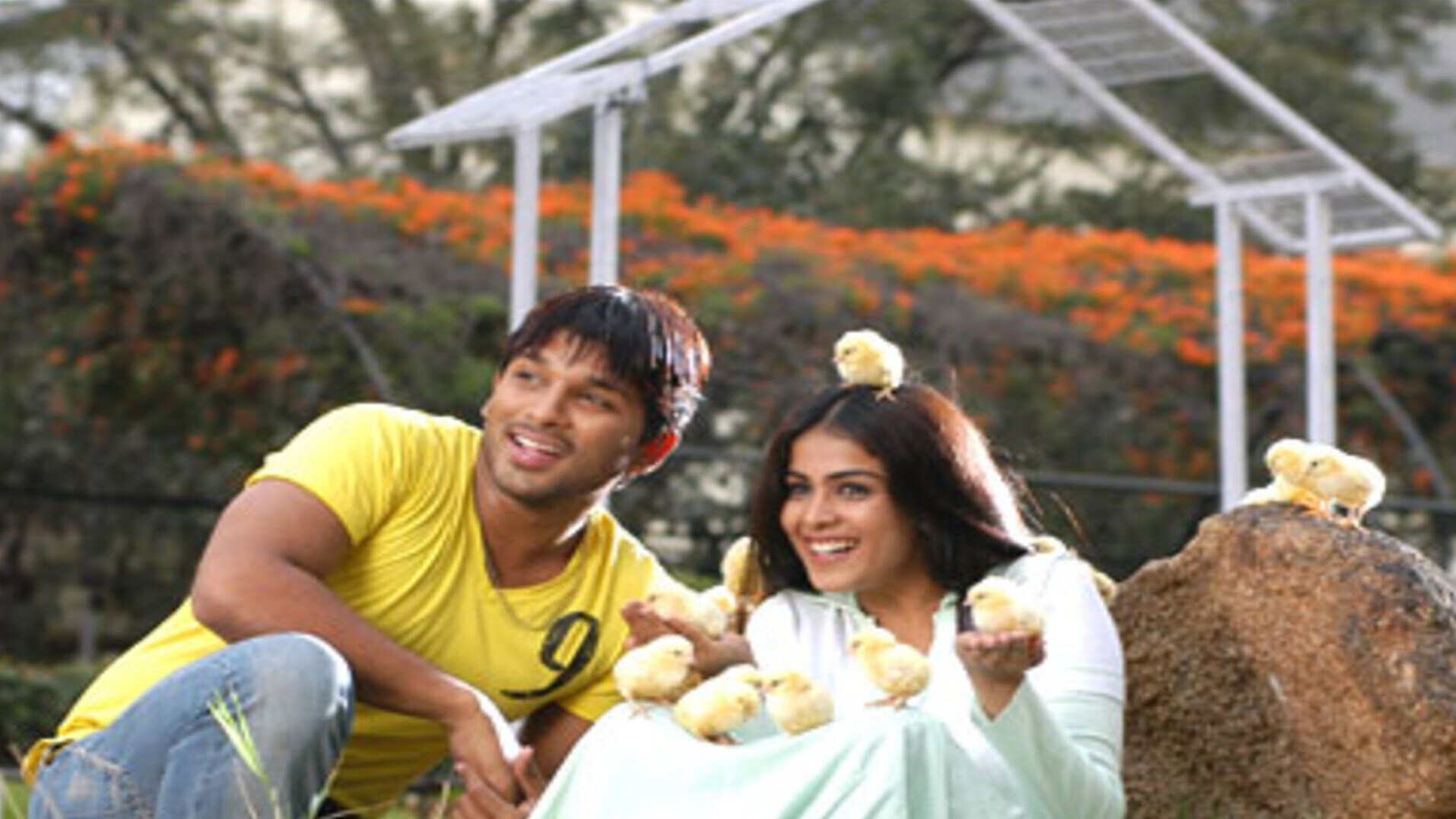 Movie picture