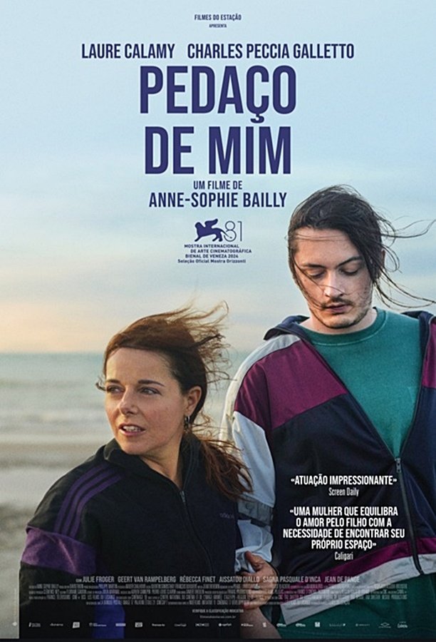 Poster de Pedaço de Mim