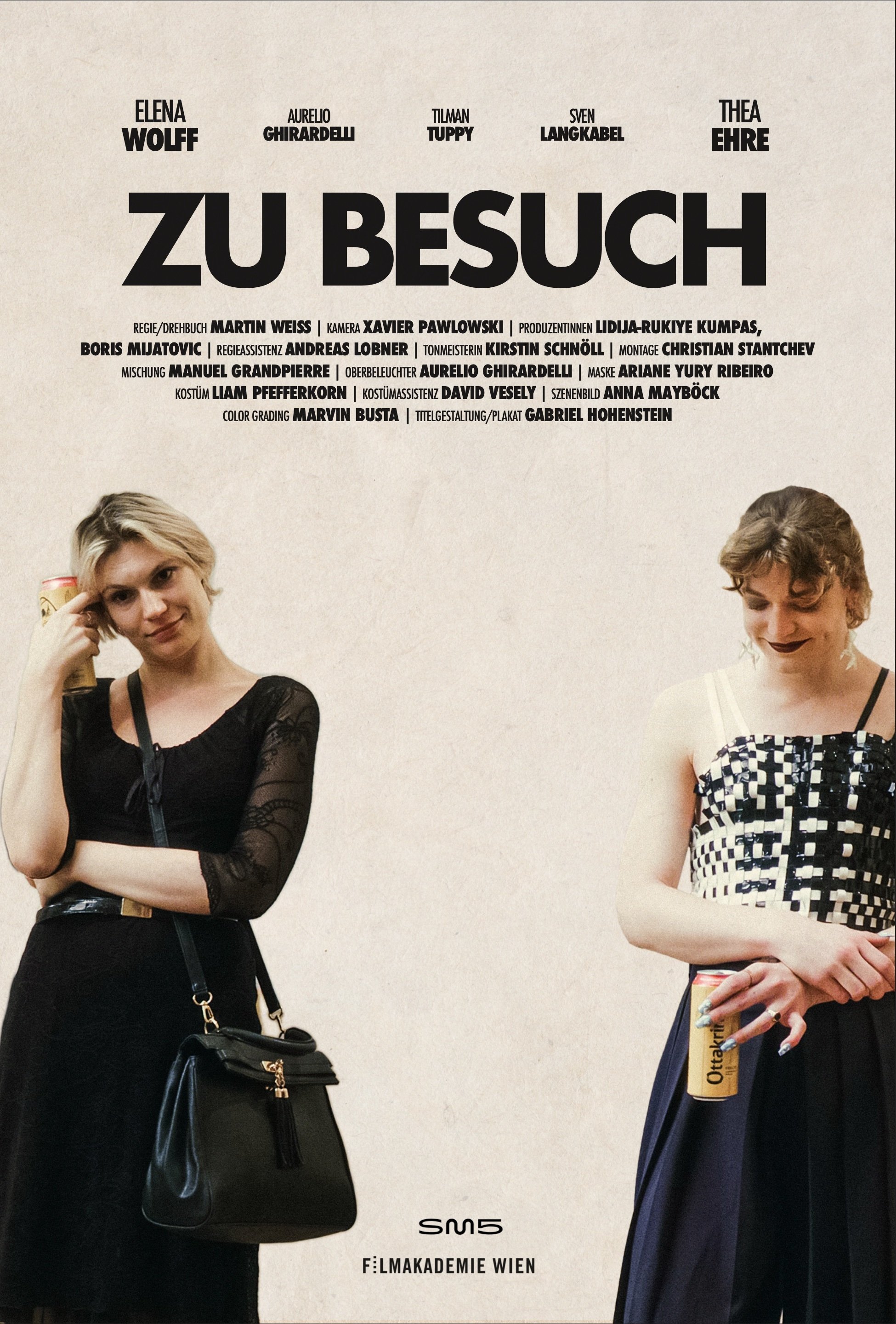 Poster de Zu Besuch