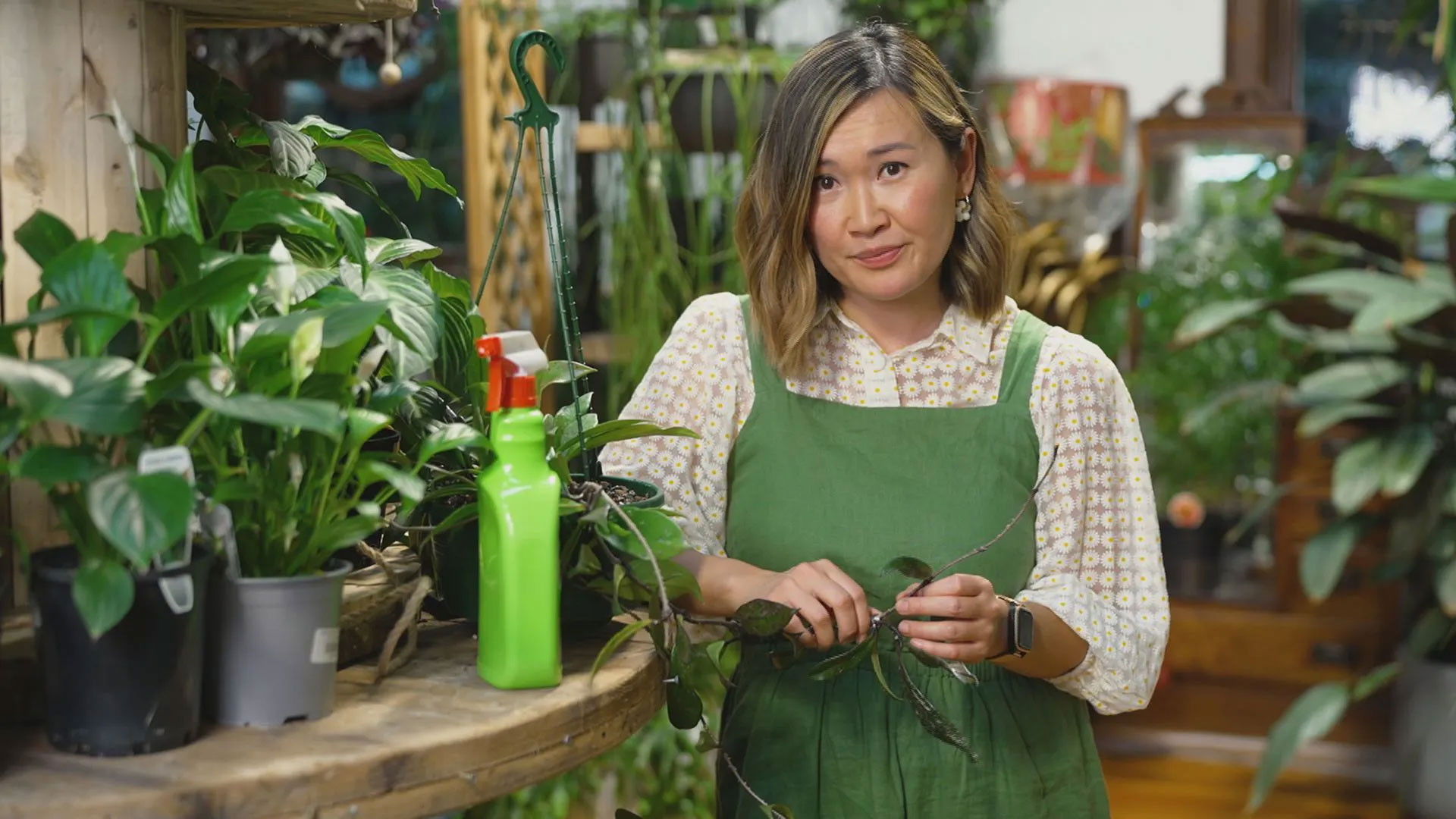 Episode 2 Autumn: Kitchen Garden & a Community Nursery