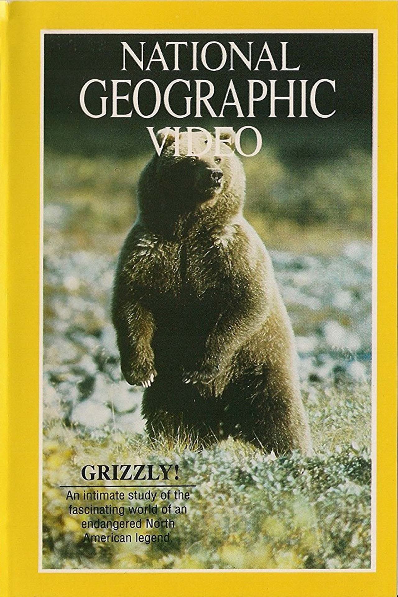 Poster de Grizzly!