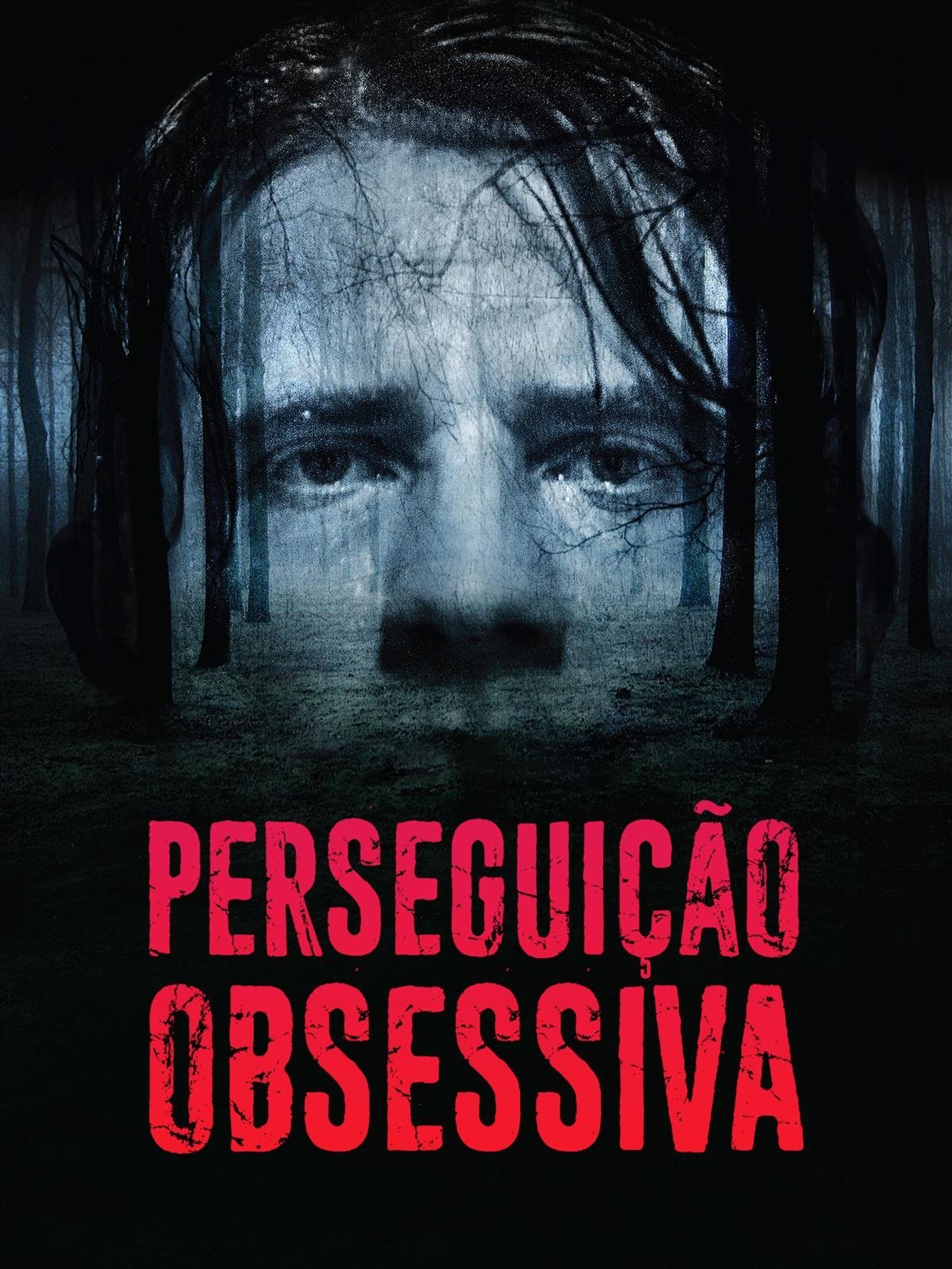 Poster de Perseguição Obsessiva