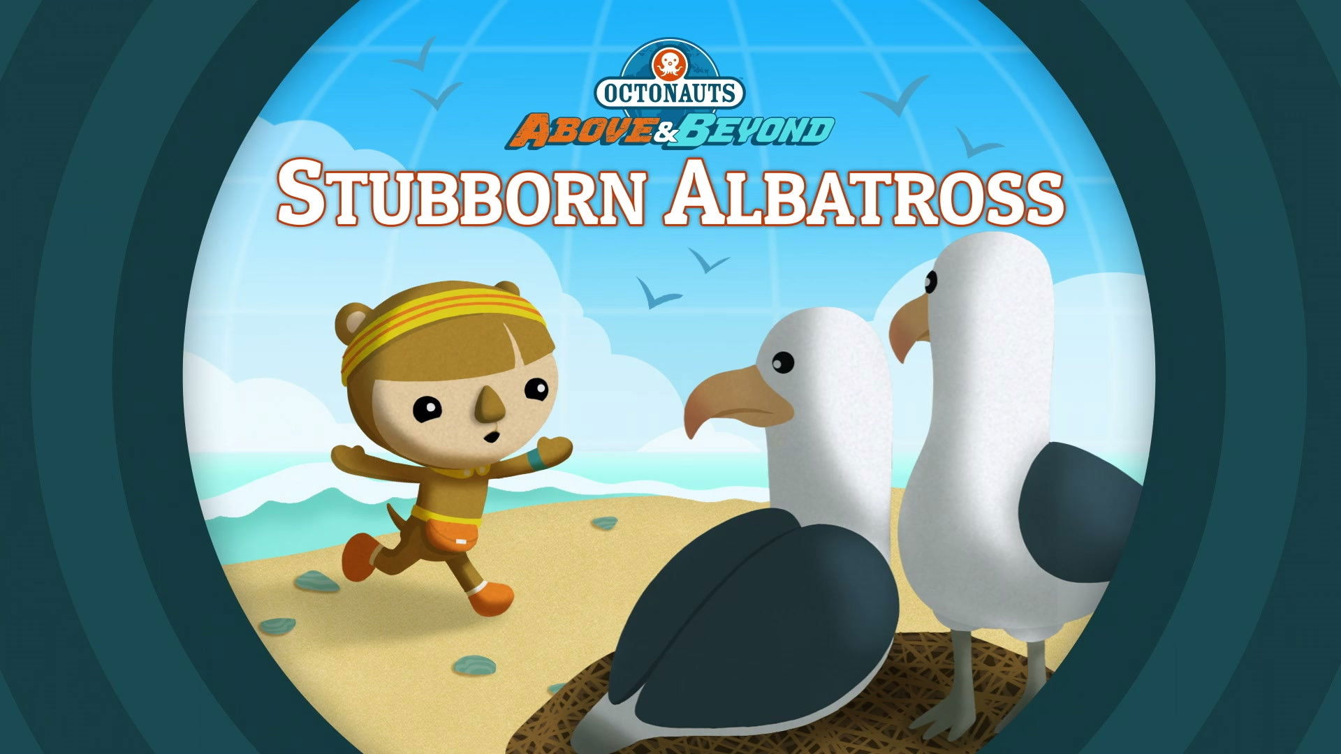 Stubborn Albatross