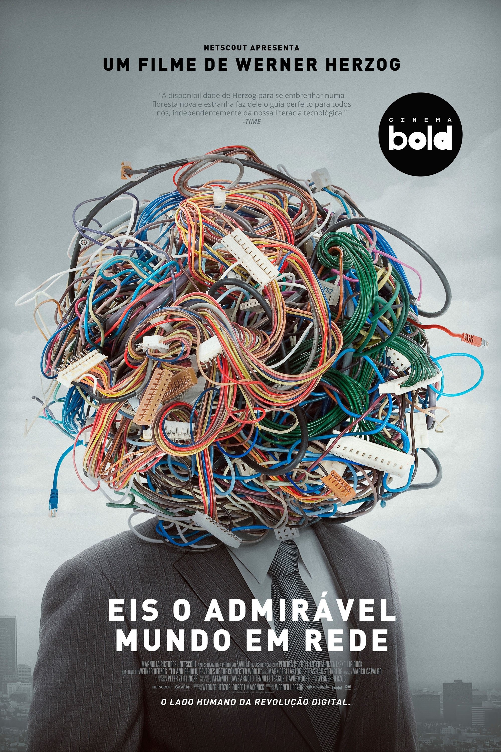 Poster de Eis os Delírios do Mundo Conectado