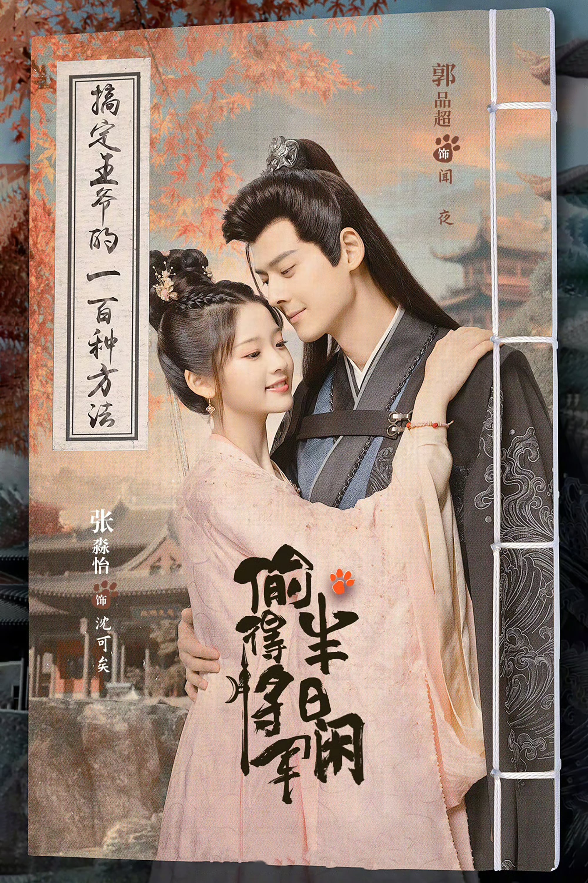 Poster de 偷得将军半日闲