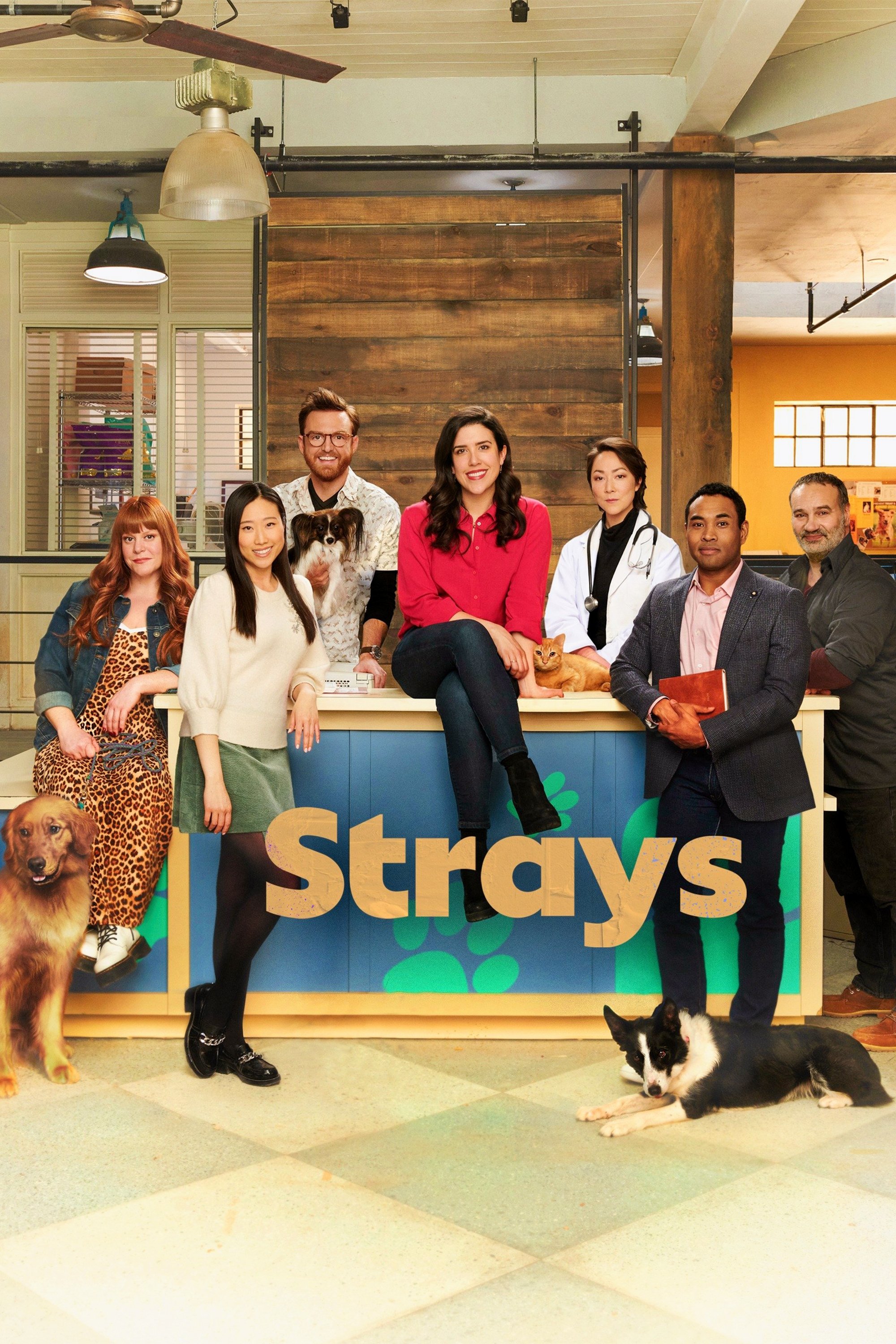 Poster de Temporada 1