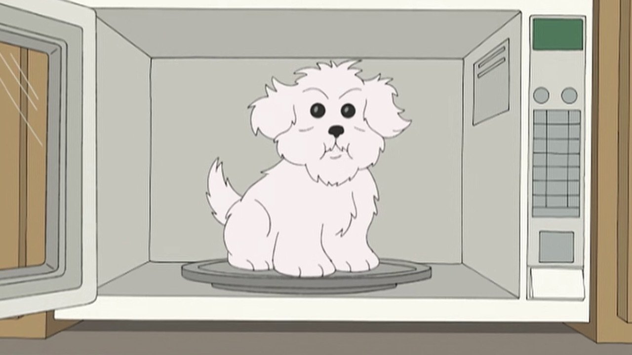 What Happens if You Feed a Dog Chocolate While He Wears a Tin Foil Hat in the Microwave