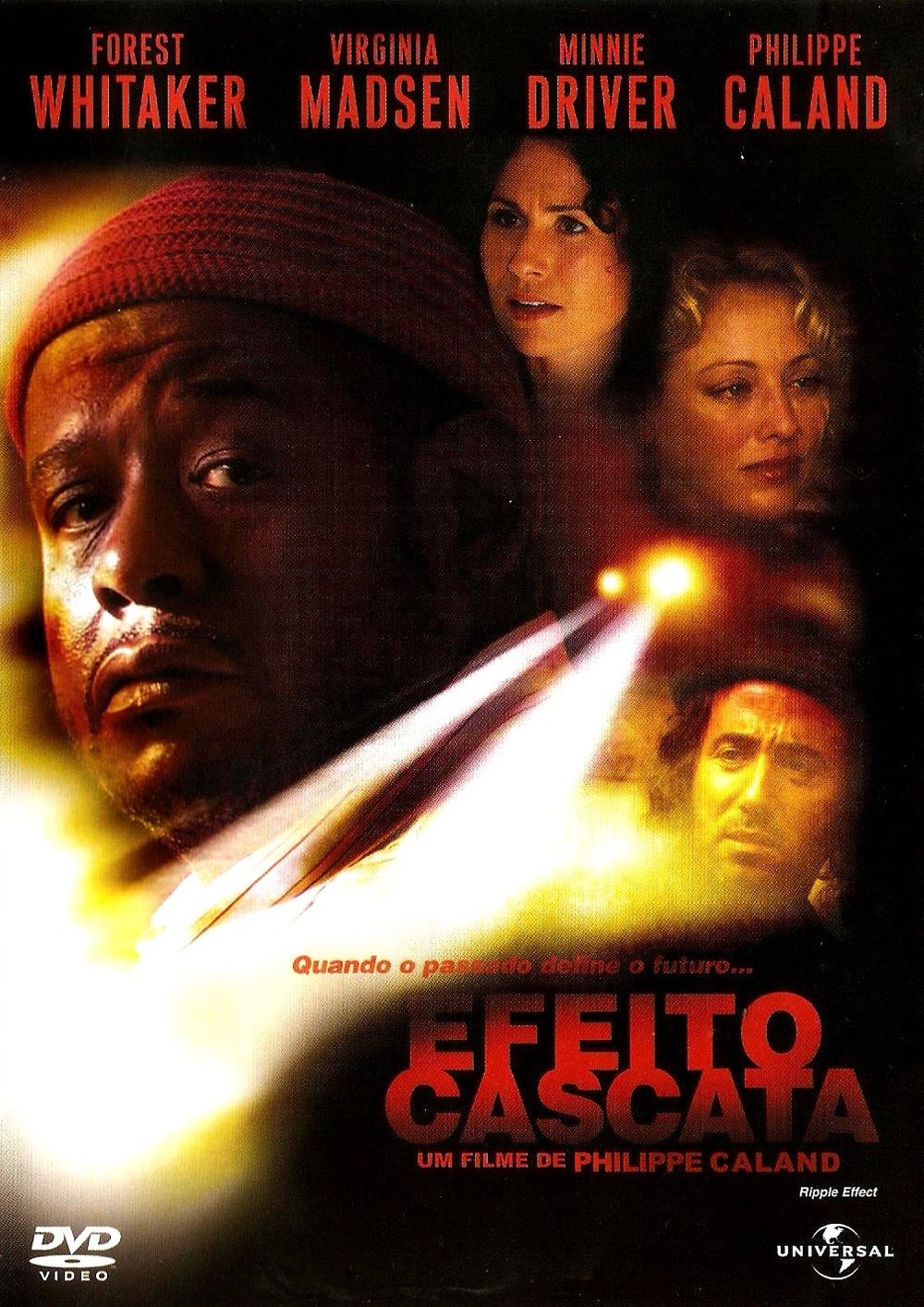 Poster de Efeito Cascata