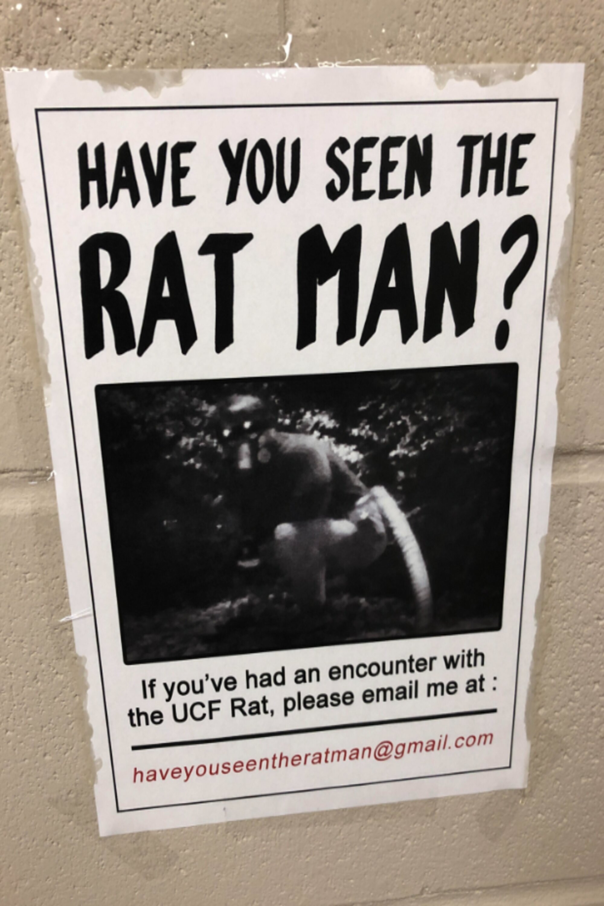 Poster de Have You Seen The Ratman?