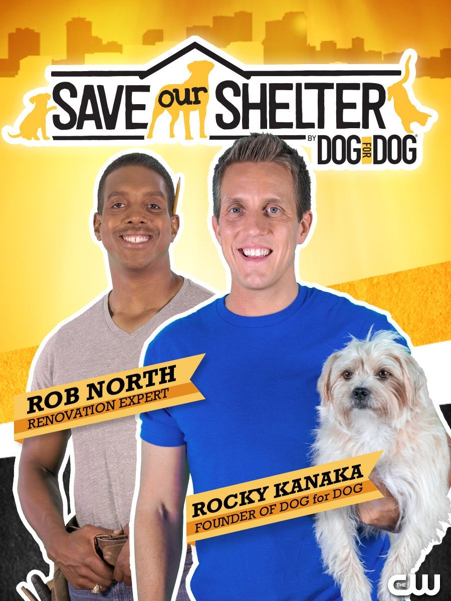 Poster de Save Our Shelter