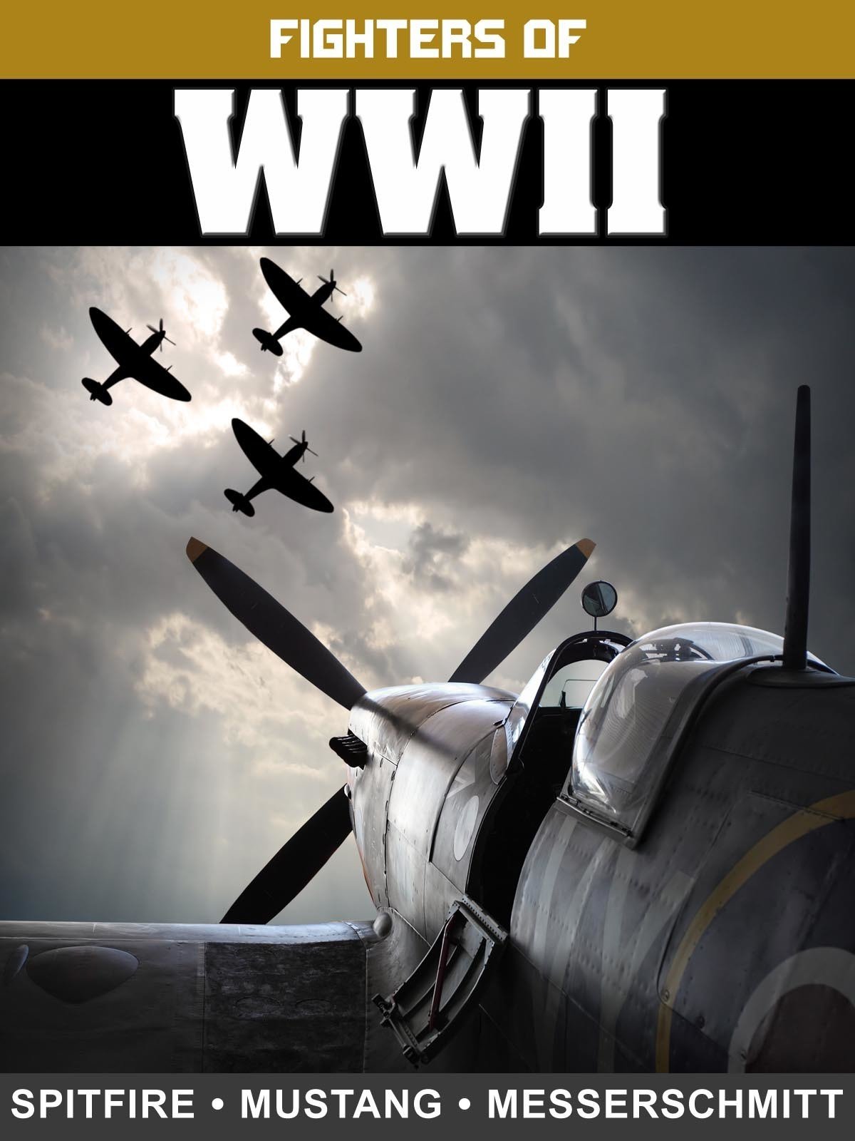Poster de Fighters of WWII: Spitfire, Mustang, and Messerschmitt
