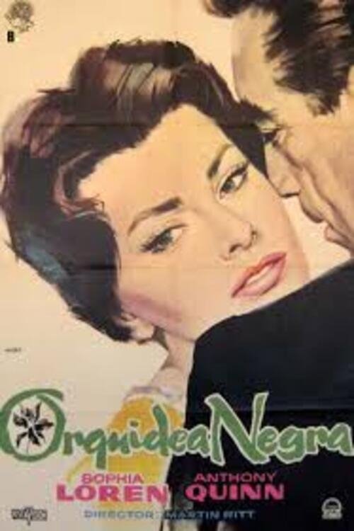 Poster de A Orquídea Negra