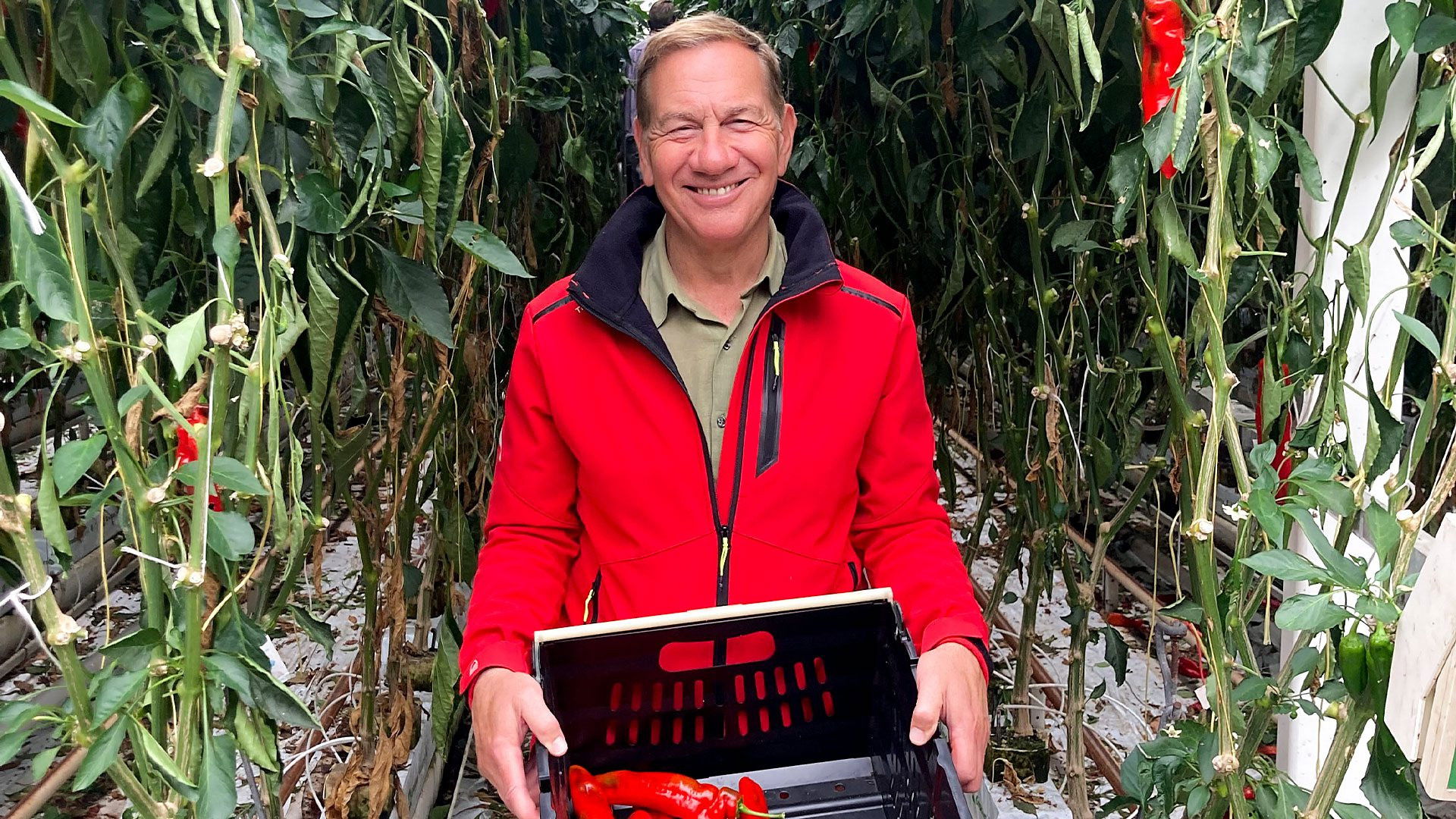 Birchington-on-Sea to Whitstable