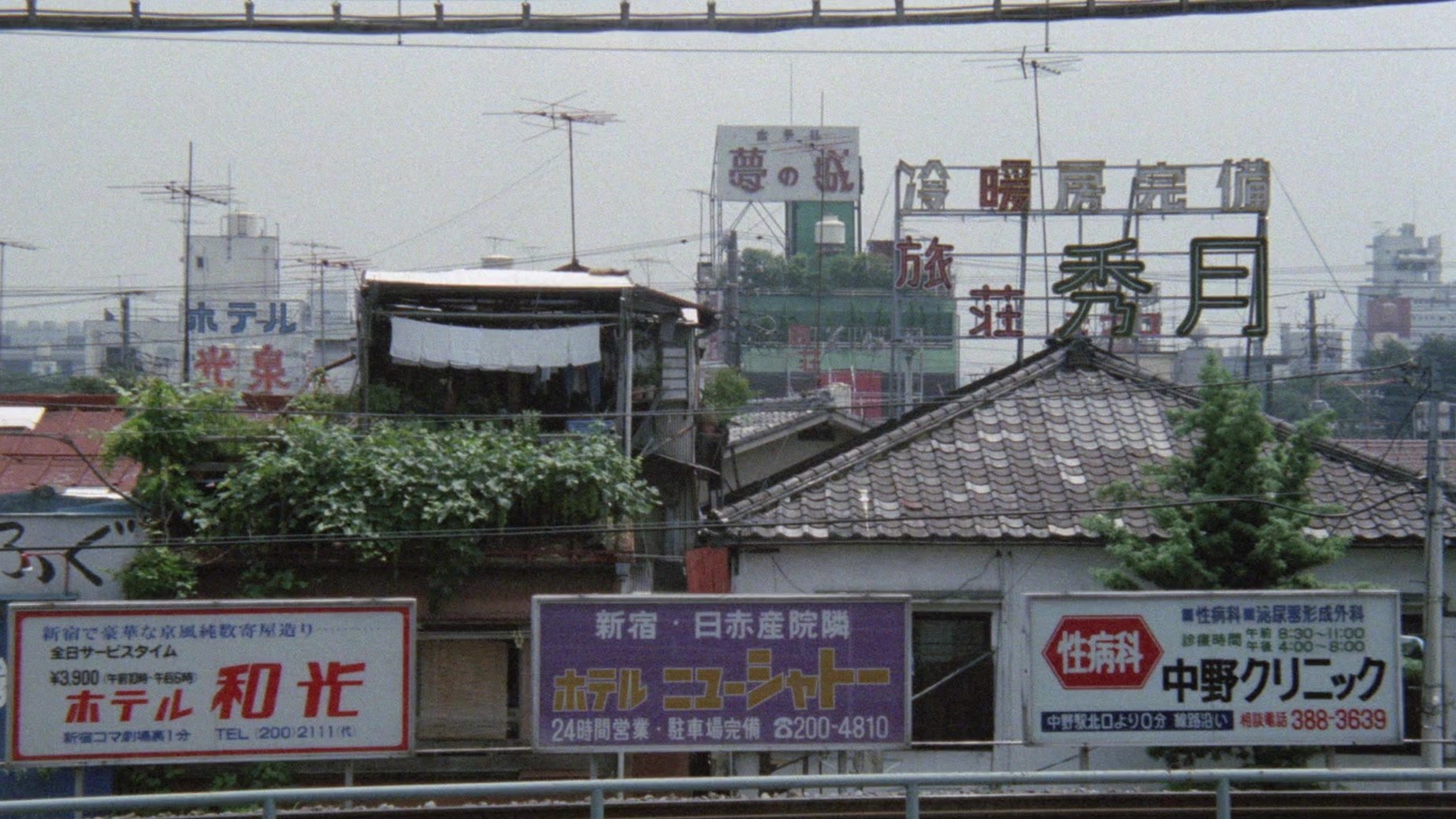 Backdrop image