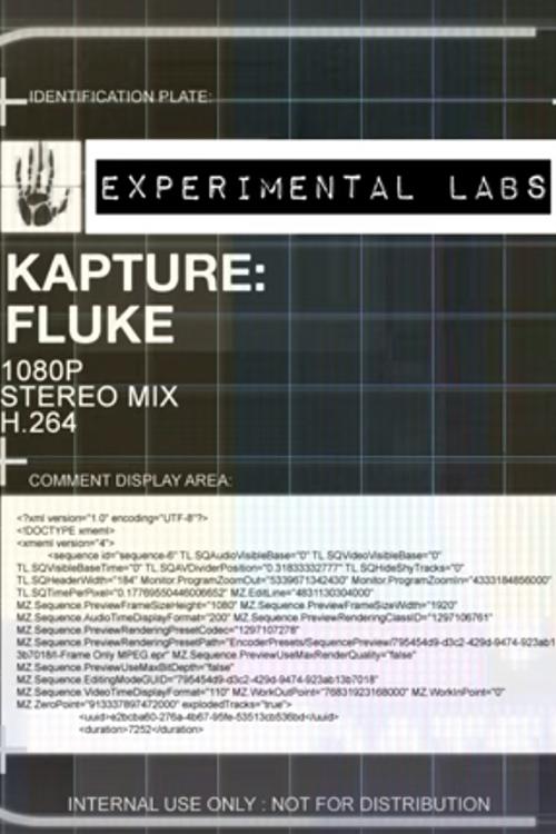 Poster de Kapture: Fluke