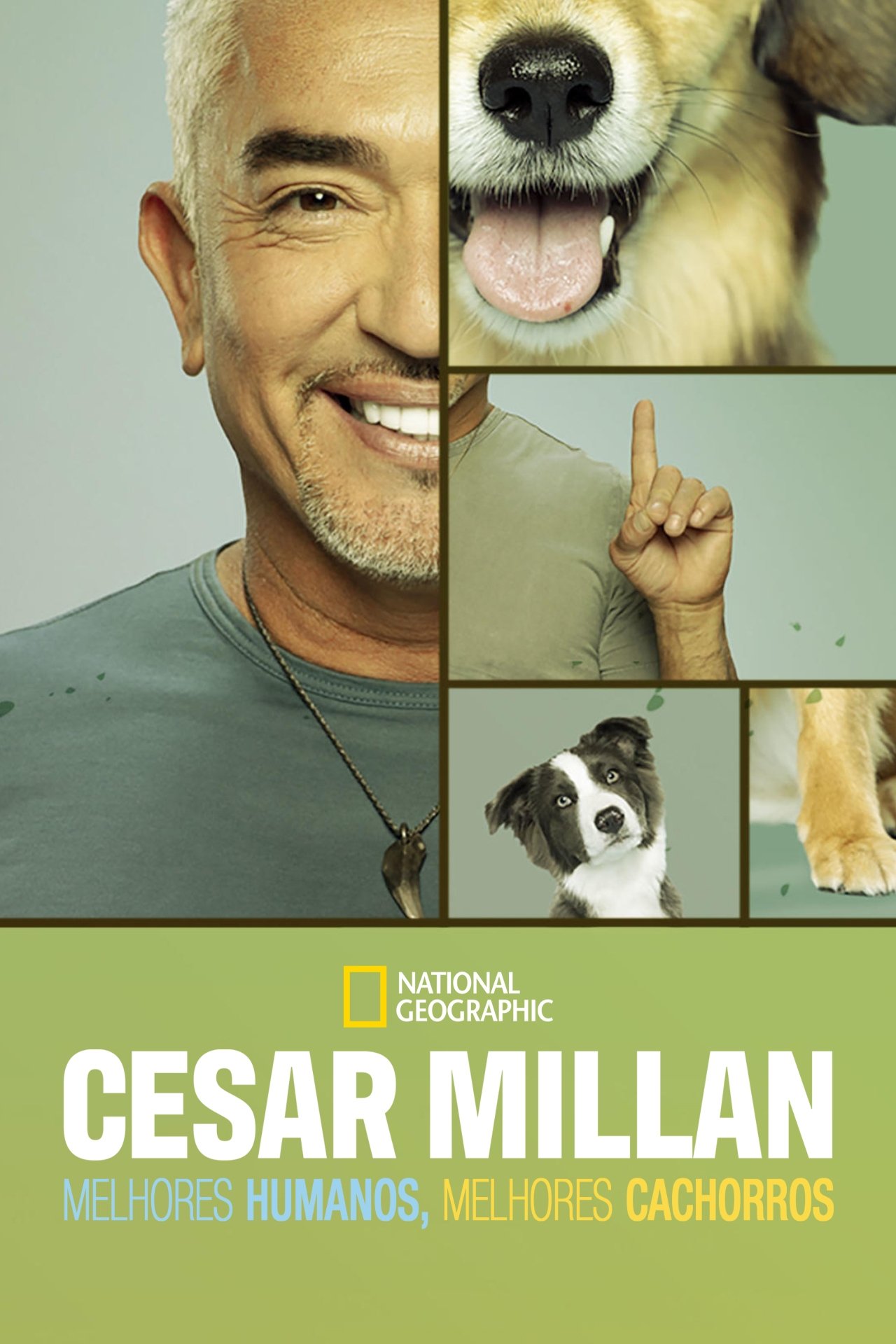 Poster de Temporada 3