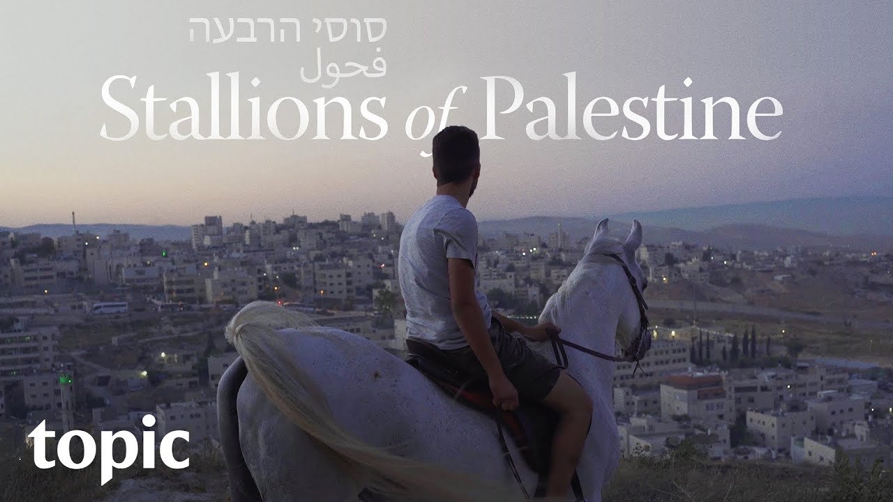Stallions of Palestine