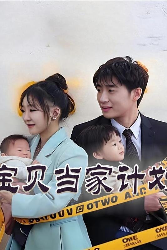 Poster de 宝贝当家计划