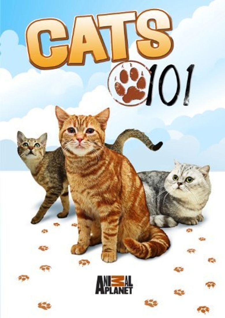Poster de Cats 101