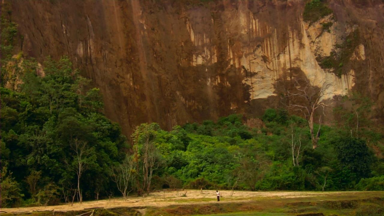 backdrops
