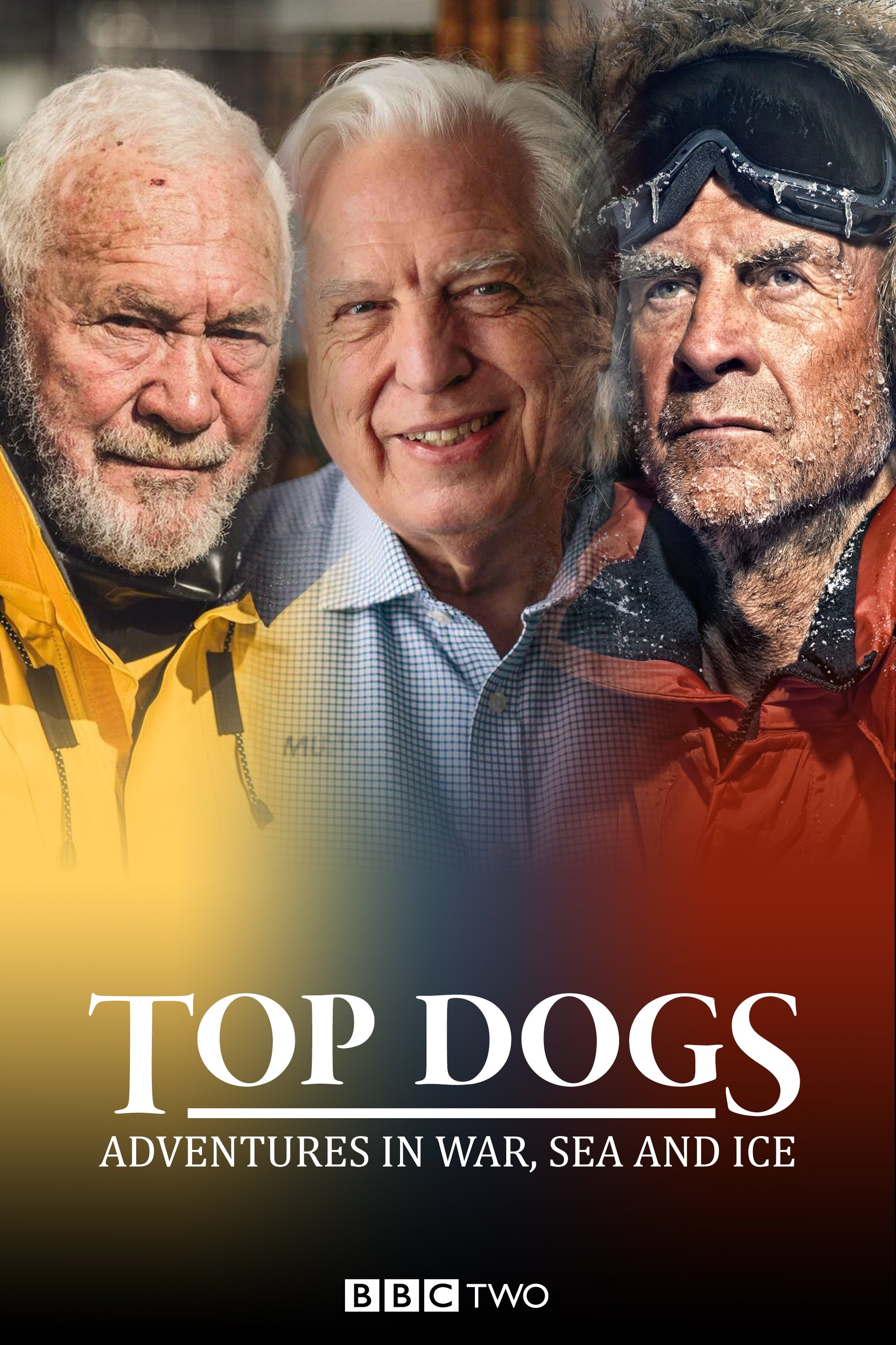 Poster de Top Dogs: Adventures in War, Sea and Ice