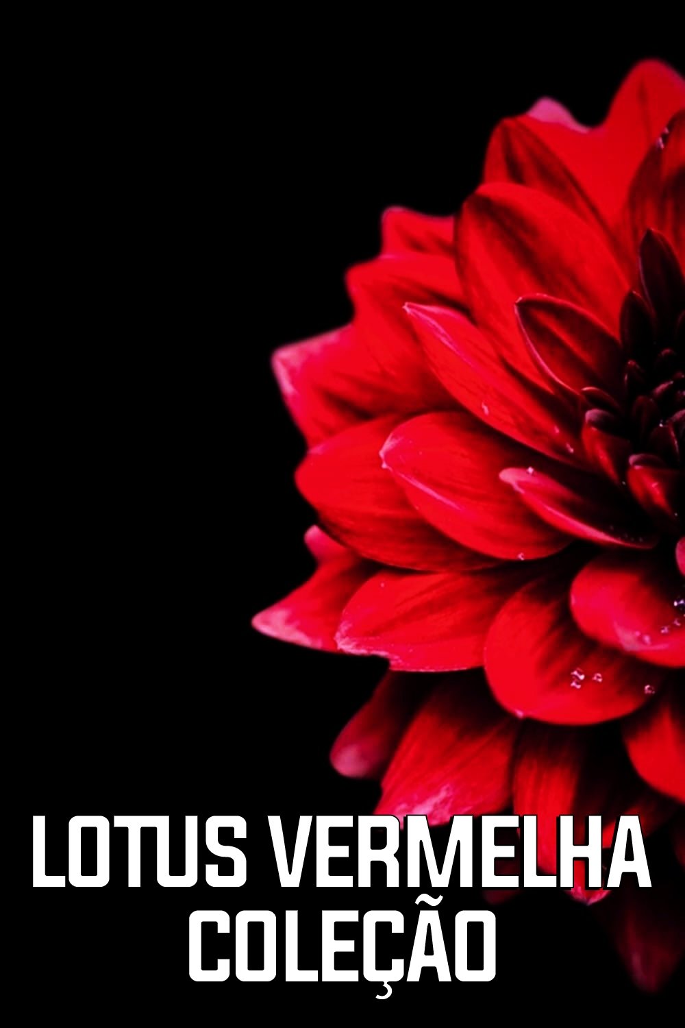 Poster de Lotus Vermelha: Coleção