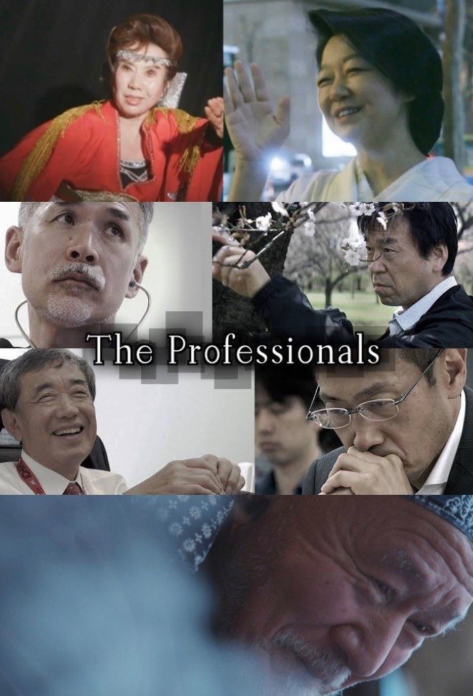 Poster de The Professionals