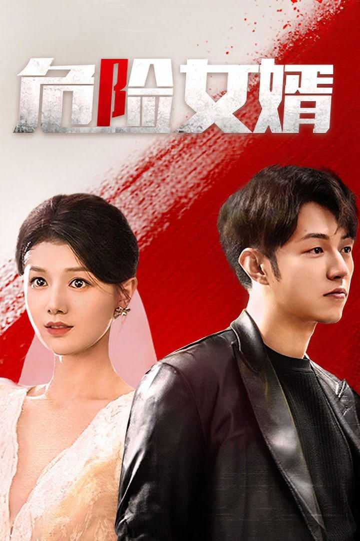 Poster de 危险女婿