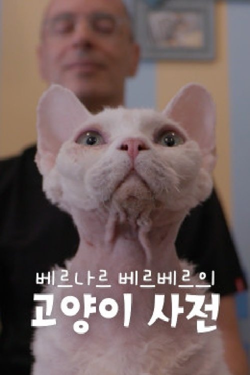 Poster de 베르나르 베르베르의 고양이 사전