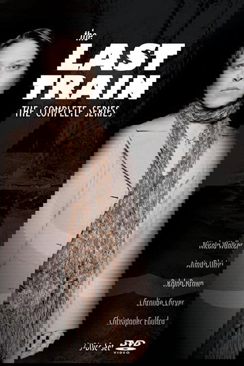 Poster de The Last Train