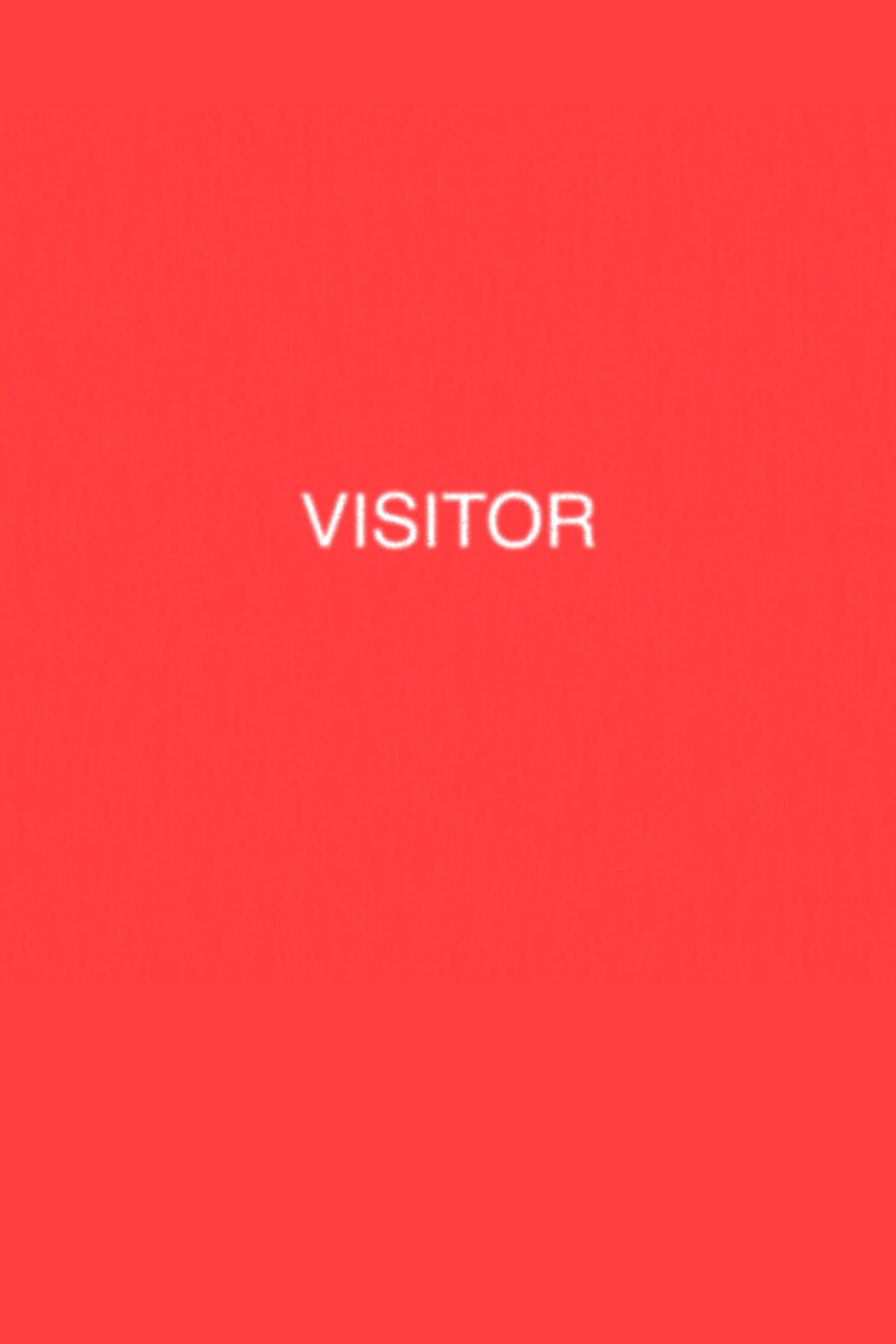 Poster de VISITOR