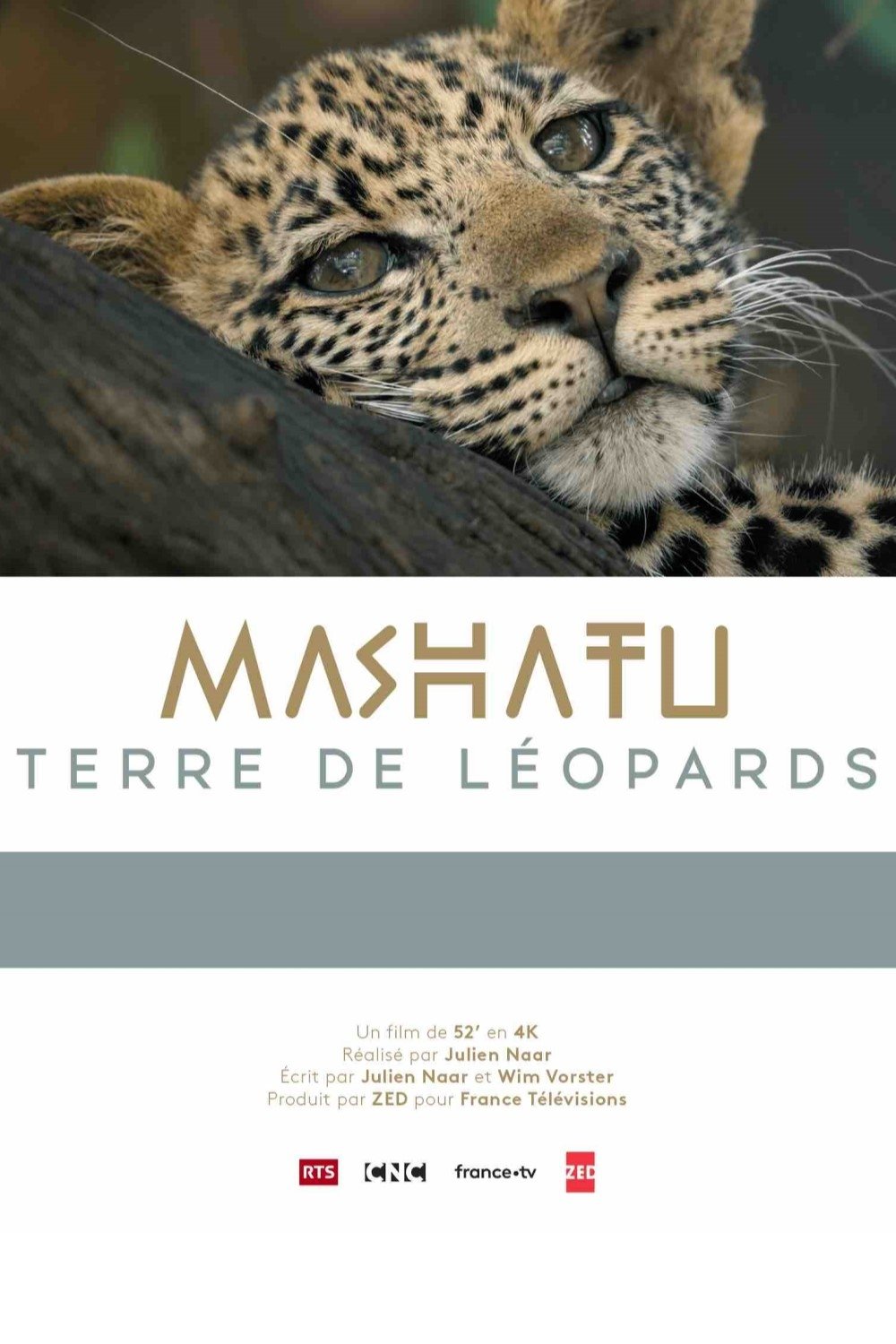 Poster de Mashatu, terre de léopards