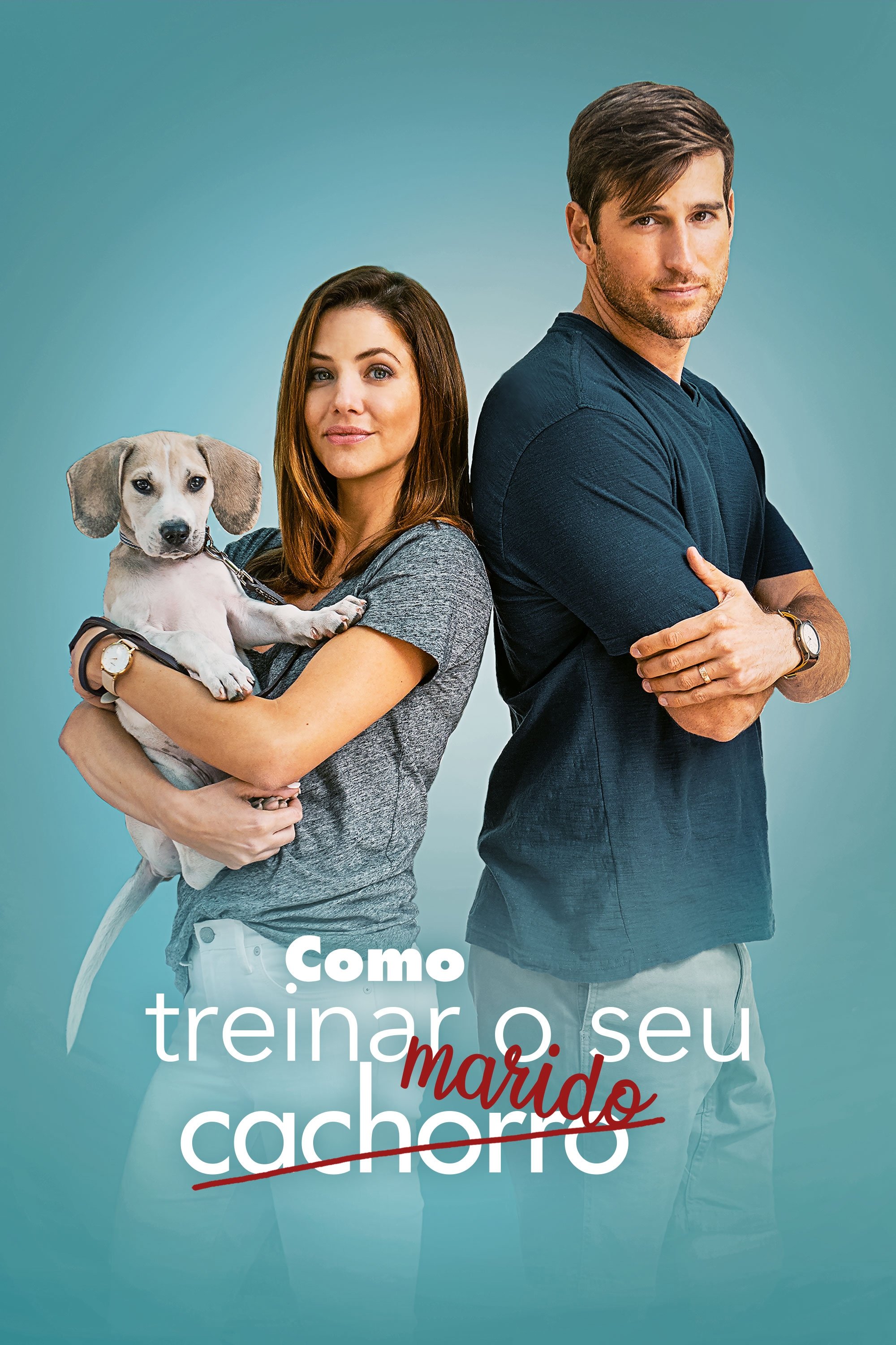 Poster de Como Treinar o Seu Marido
