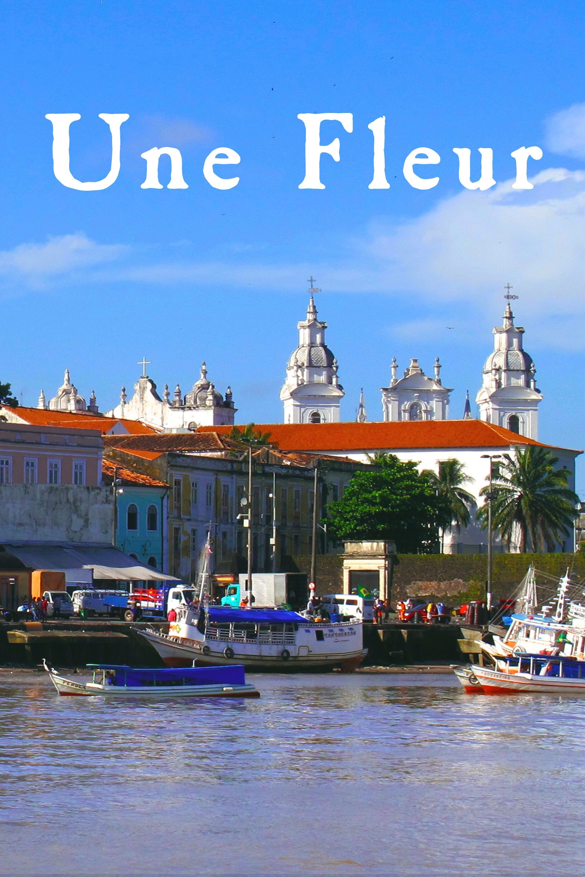 Poster de Une fleur dans le Pacifique