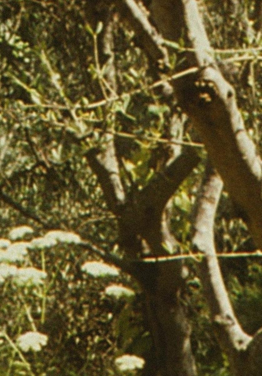Poster de Envío 6