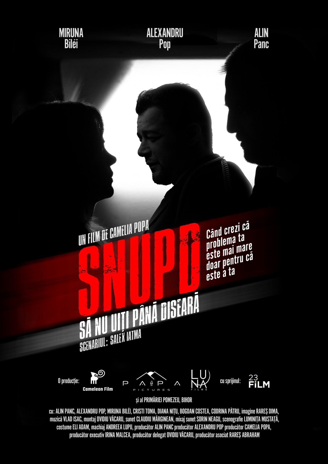 Poster de Să nu uiți până diseară