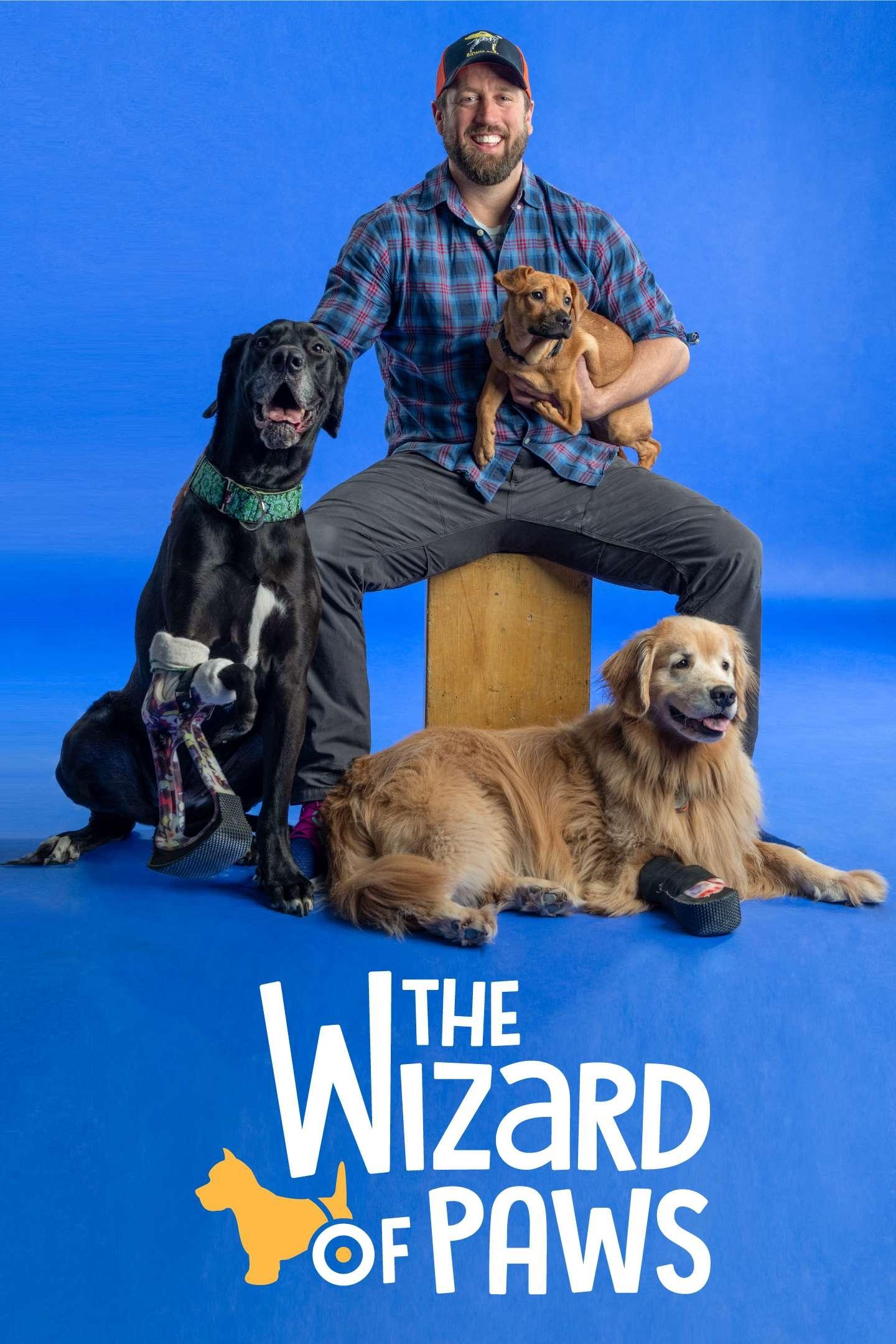 Poster of The Wizard of Paws