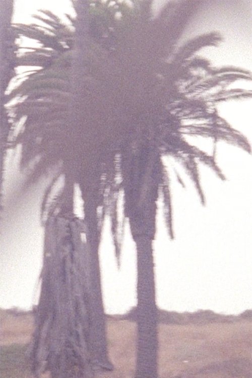Poster de Something to Touch That Is Not Corruption or Ashes or Dust
