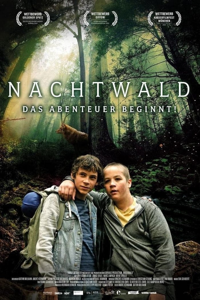 Affiche du film Nachtwald