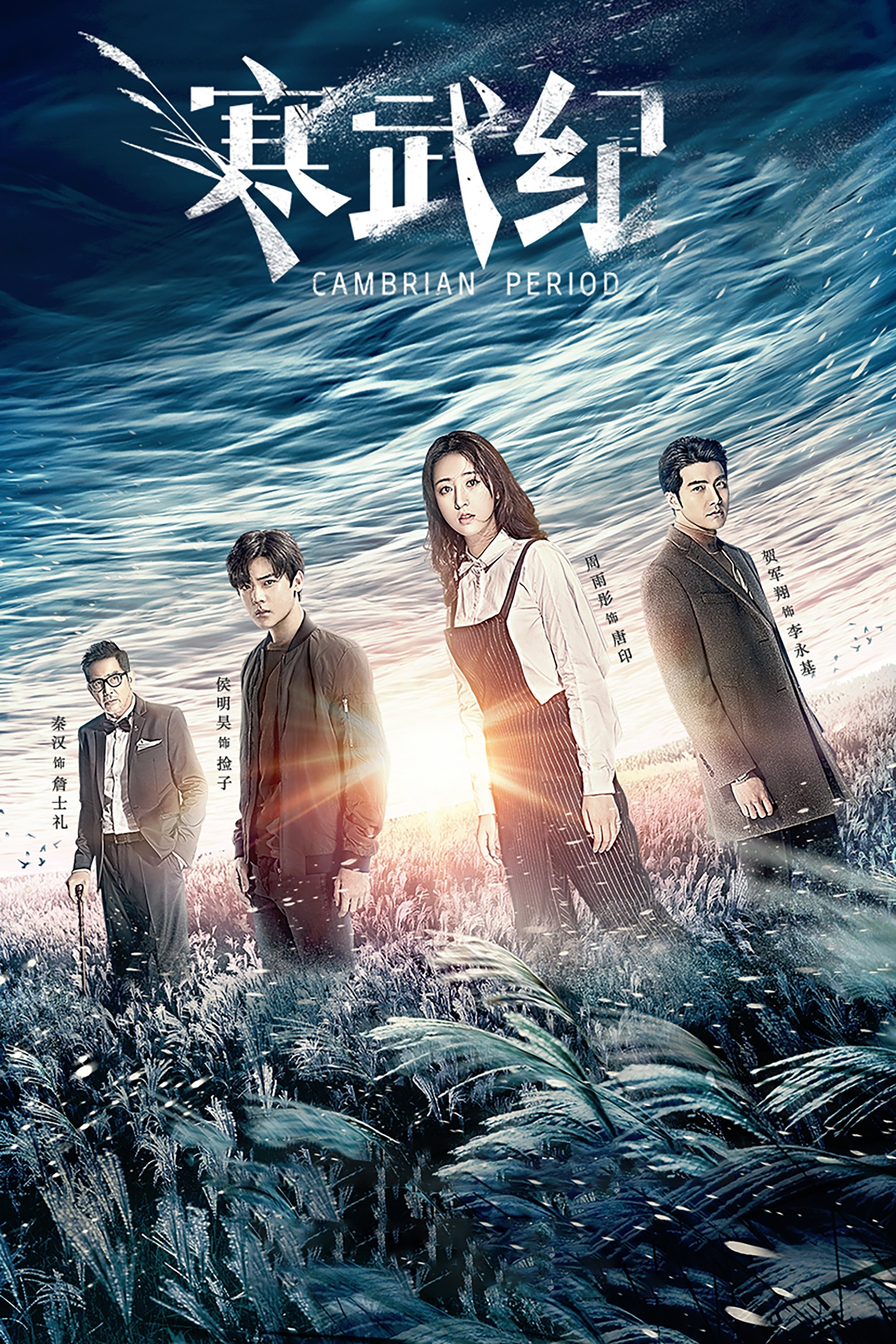 Poster de 寒武纪